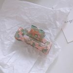 watermelon hair clip