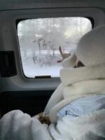 The Barnnet Baby Blue Eco-Shearling Snuggle Reversible Hooded Jacket - 画像 (3)