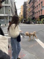 The Barnnet Rotte Hairy Fur Jacket - 画像 (8)